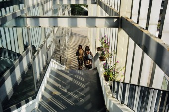 哈佛大学代写-哈佛大学历史